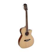 Richwood Artist Series acoustic guitar RG-16-CE image