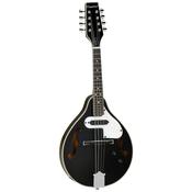 TANGLEWOOD TWM T BKP E Mandolin