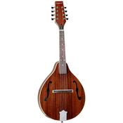 TANGLEWOOD TWM T MH Mandolin