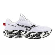 Mizuno Wave Rider 30 Disclosure image