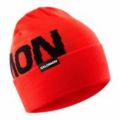 Salomon Hermitage Beanie