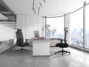 The Spinery® Ergonomic Office Chair | Standard image