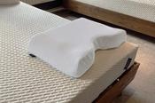 The Spinery® Pillow Case image