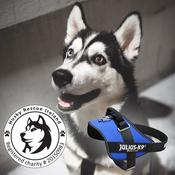 Julius store k9 ireland