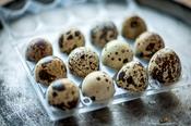 QUAIL EGGS image