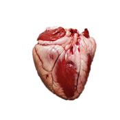 LAMB HEART image