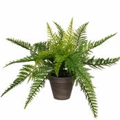 Artificial Fern in Pot - H40 x Ø60 cm