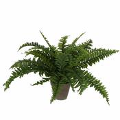 Boston Fern Artificial Plant in Plant Pot - H42 x Ø50 image