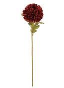 Pom Pom Flower - Deep Red image