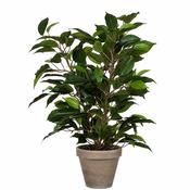 Artificial Ficus Plant in Pot - H40 x ø30 cm image
