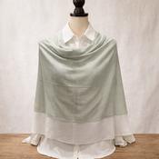 Poncho Silver image