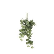 Artificial Watermelon Peperomia Hanging Bush - L65 cm