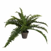 Boston Fern Artificial Plant in Plant Pot - H35 x Ø45 cm image