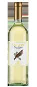 Volare Pinot Grigio 2025