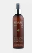 Beach Wave Ocean Spray image