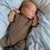 Teddy Pants Pattern Booklet | PetiteKnit
