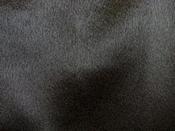 Satin back crepe – black image