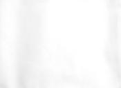 White polycotton gabardine image