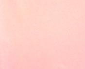 Pale pink lycra image