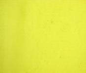 Citronelle yellow dress net