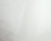 White bridal veiling