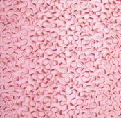 Red rambling stitch metallic lace