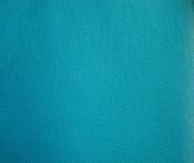 Flo blue dress net image