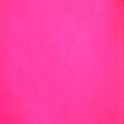 Flo cerise dress net