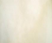 Ivory dress net image