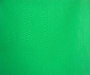 Flo baize green dress net image