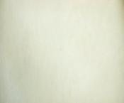 Cream bridal veiling