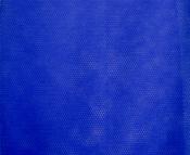 Royal blue dress net image