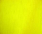Flo citrone yellow dress net image