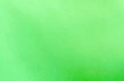Flo green slipper satin