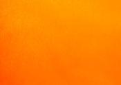 Flo orange slipper satin