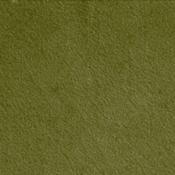 Felt – Pale moss image