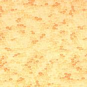 Golden yellow bubbles cotton image