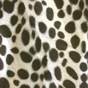 Dalmation velboa fur image