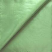 Poly habotai lining – Apple green image