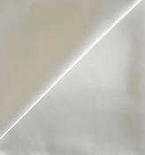 Ivory slipper satin image