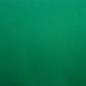 Plain cotton – Emerald green image