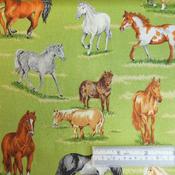 Down on the Farm – Horses image