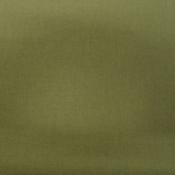 Plain cotton – Dull moss green image