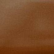 Plain cotton – Biscuit image
