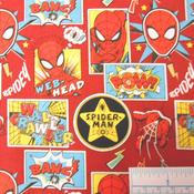 Spiderman image