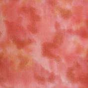 Perfect Palette 49 image