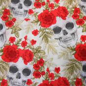 Skulls n Roses – Red image