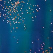 Blue Wave Bead Organza image