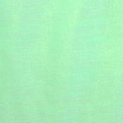Mint Shimmer Organza image