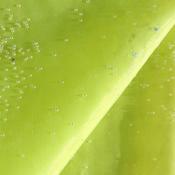 Flo Lime Bead Organza image